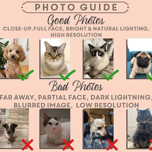 Custom Funny Pet Portrait, Personalized Cat Art, Handdraw Pet Art, Special Gift for Pet Owners, Custom Art From PhotoCustom Pet Portrait, image 8