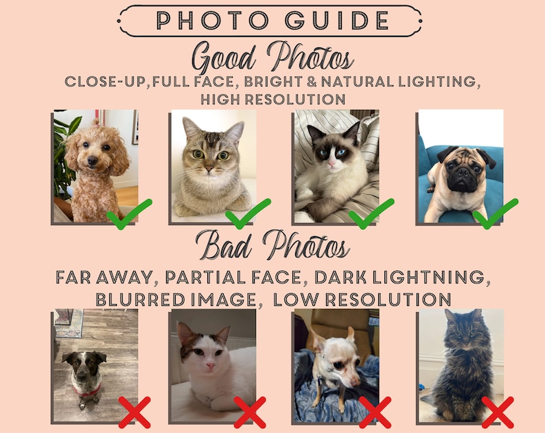 Custom Funny Pet Portrait, Personalized Cat Art, Handdraw Pet Art, Special Gift for Pet Owners, Custom Art From PhotoCustom Pet Portrait, image 8