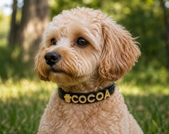 Personalized Dog Pet Collar Custom Name Bling Charm *Many Styles To Choose From*