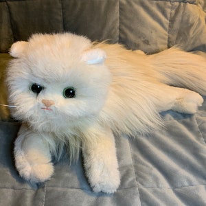 Coussin peluche chat - 40 cm TY : King Jouet, Peluches animaux et