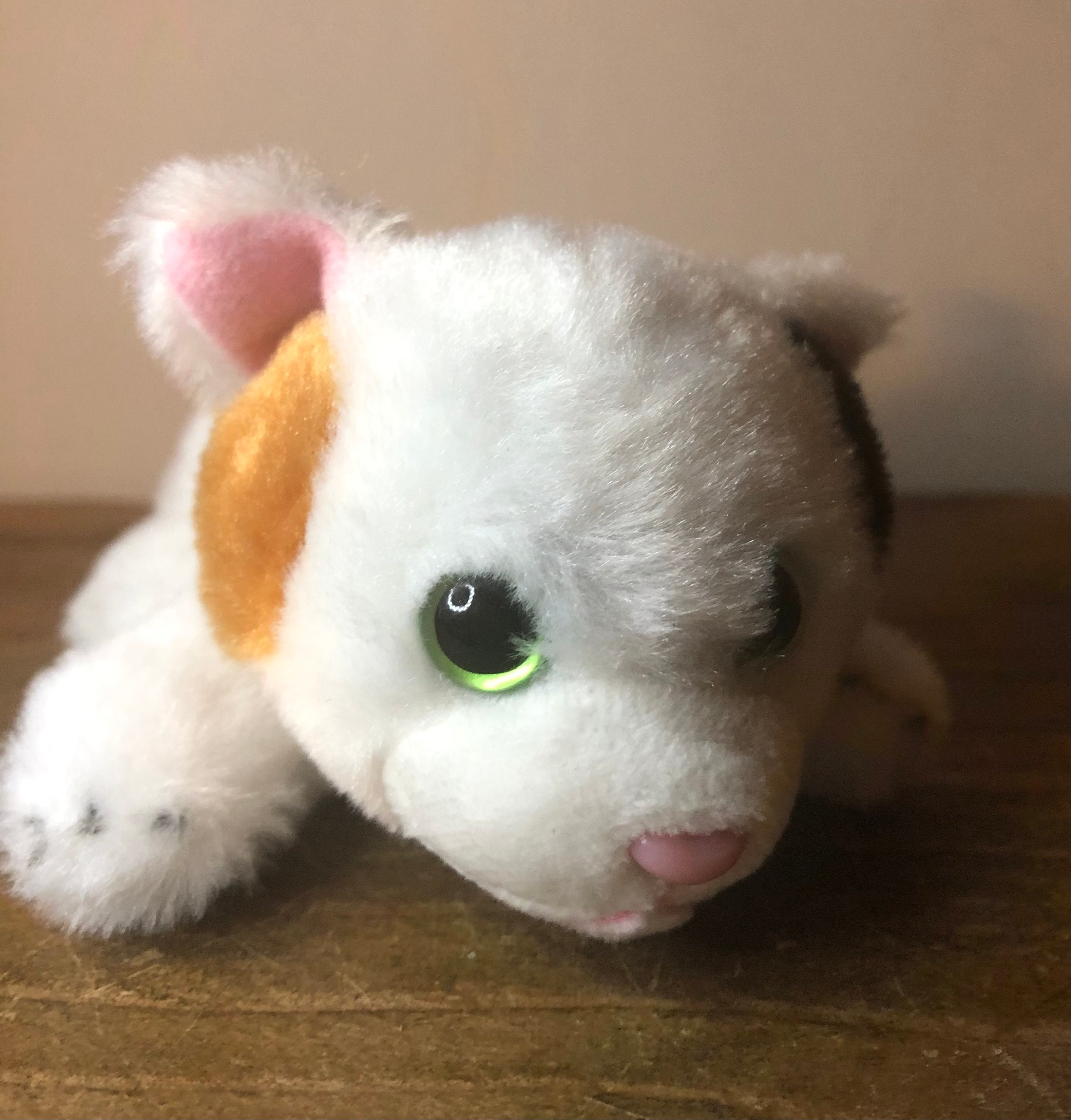 Petooties Pets Russ kellytoy Calico Cat kitten kitty Soft Beanie Plush 5 Green Eyes White black tan Bean Bag Toy Etsy UK