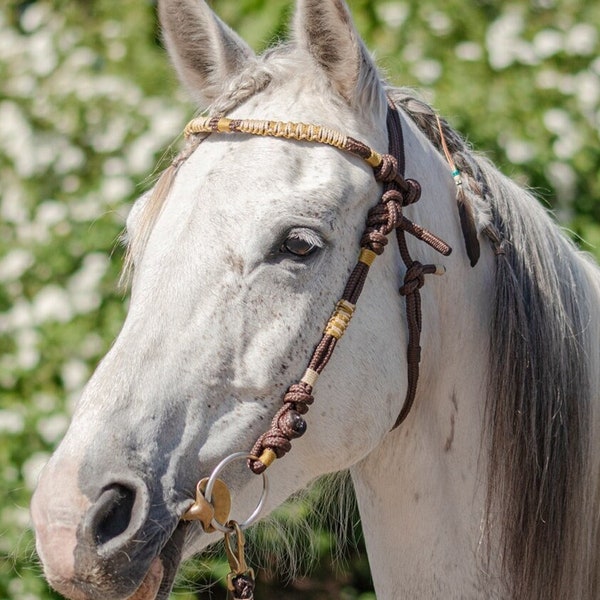 Zaumzeug "Gipsy", Größe S (Pony/Araber)