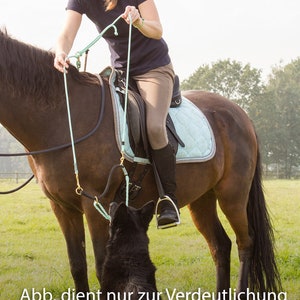 Reitbegleiterleine &quot;Melissa&quot;, Ausreiten mit Hund, Reitleine