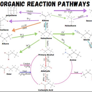 以下が含まれることがあります： 「ORGANIC REACTION PATHWAYS」と題された、化学反応を示す図。アルケン、ハロアルカン、アルコールなど、有機化合物の変換を矢印とテキストで示しています。図には、Addition、Substitution、Oxidation、Elimination、Reduction、Condensation、Hydrolysisという言葉が含まれています。