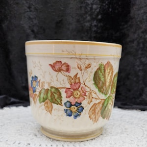May include: A white ceramic planter with a floral design. The planter has a gold rim and a floral pattern featuring pink and blue flowers with green leaves.