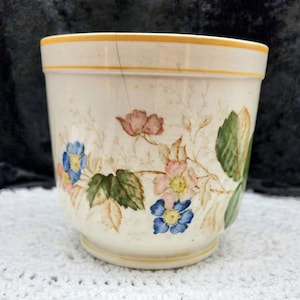May include: A white ceramic planter with a yellow rim and floral design. The planter features pink and blue flowers with green leaves.