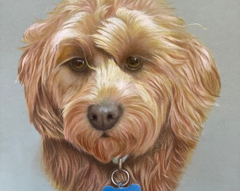 dog color pencil drawing