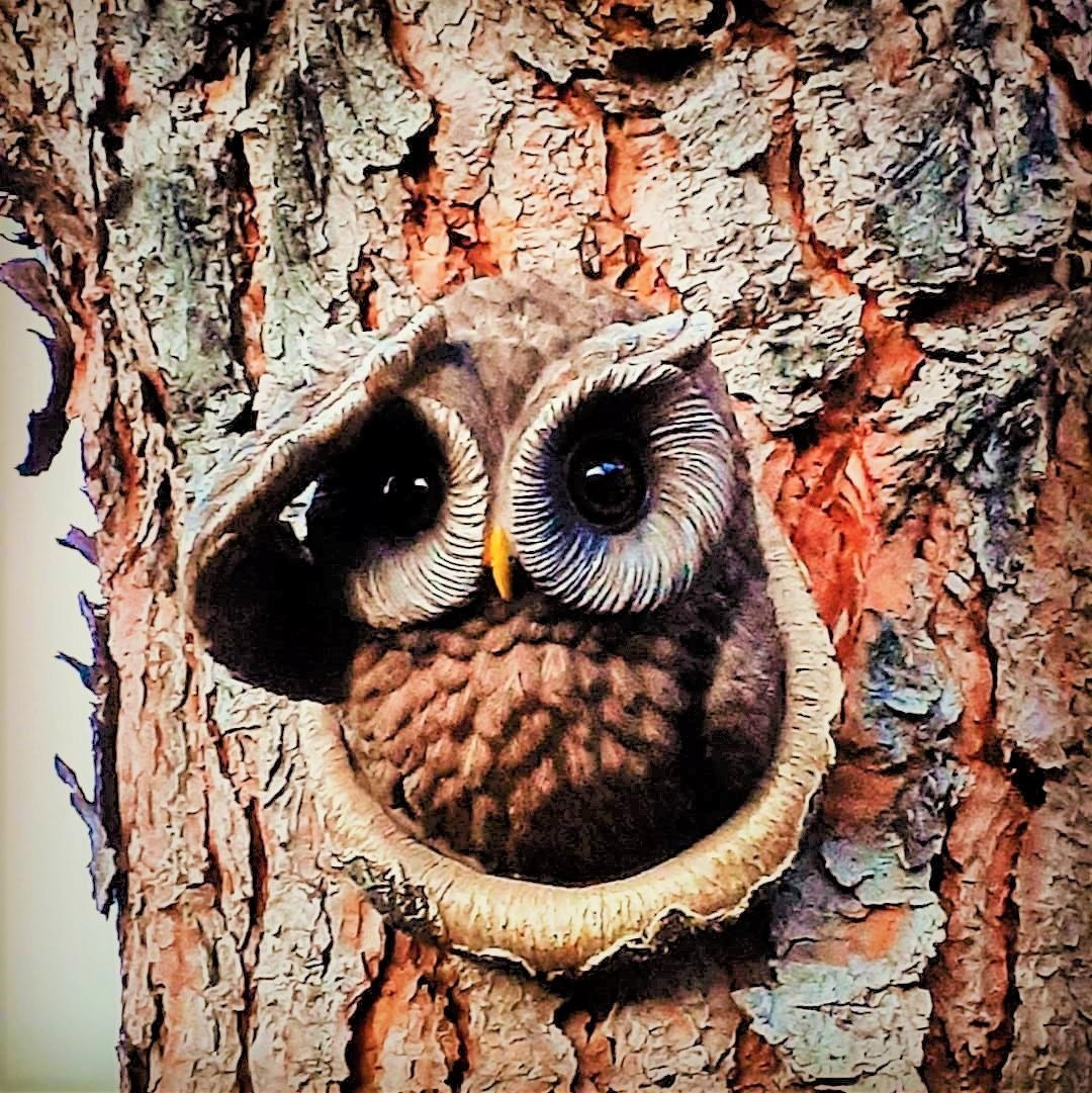 Tree Hugger Animal - Etsy Tree Hugger Animal - Etsy