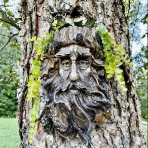 Tree Face Sculpture, Whimsical Old Man Tree Hugger Hanging Flower Planter, Fun Garden Yard Art Statue Patio Decoration