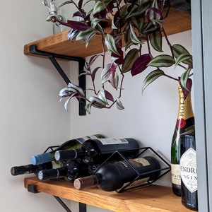 May include: A wooden shelf with black metal brackets holds a wine rack with several bottles of wine and a bottle of champagne. A green plant with purple leaves hangs down from the shelf.