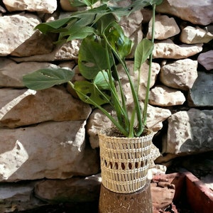 Rustic Handwoven Wicker Basket Planter Natural Rattan Plant Holder for Indoors Model2