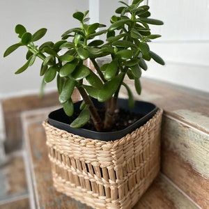 Rustic Handwoven Wicker Basket Planter Natural Rattan Plant Holder for Indoors Model1