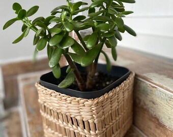 Rustic Handwoven Wicker Basket Planter - Natural Rattan Plant Holder for Indoors