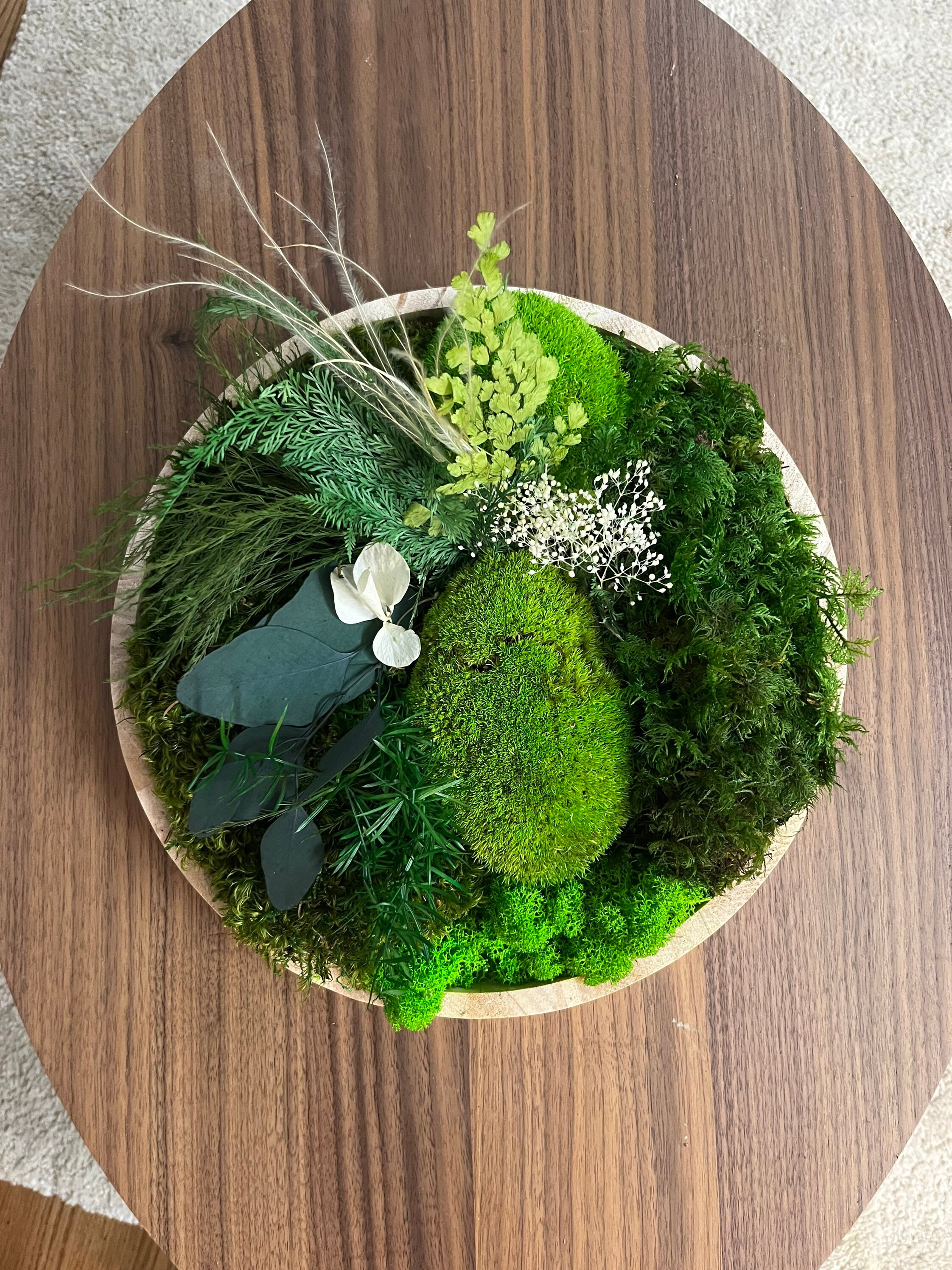 Cadre Végétal Stabilisé Rond Sans Entretien/Vertical Green Moss Wall Décoration Végétale