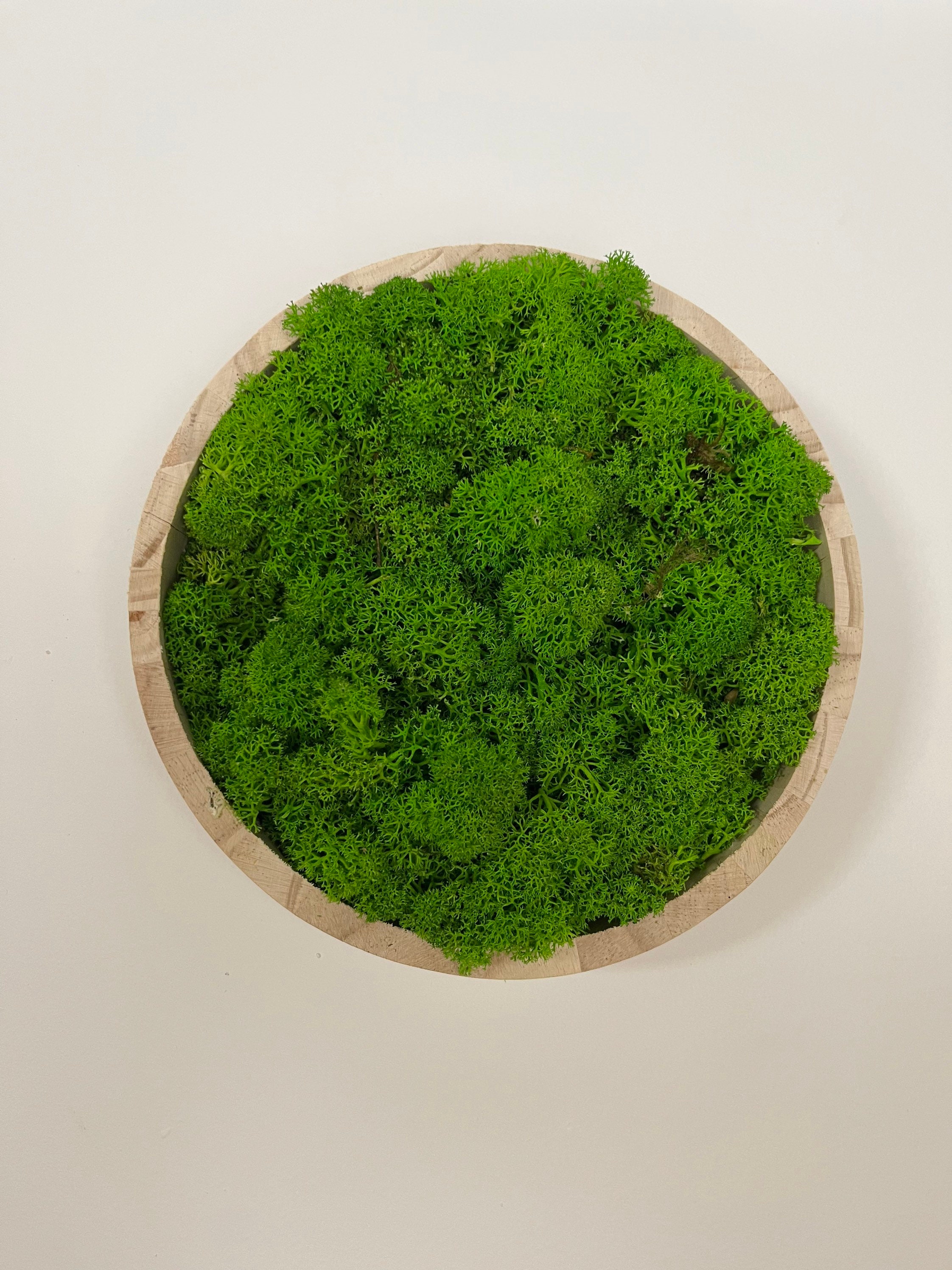 Cadre Végétal/Cadre Rond en Mousse Stabilisée Natural Décoration Bois Lichen