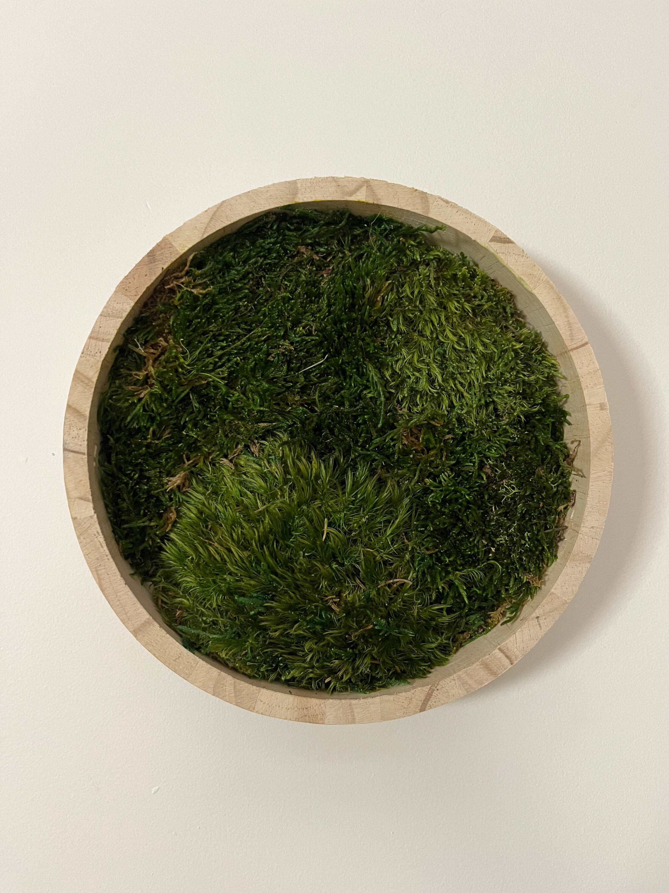 Cadre Rond en Bois/Décoration Murale Mousse Stabilisée