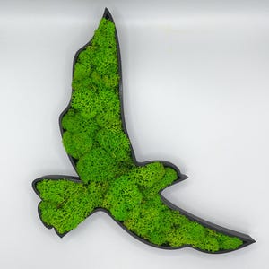Oiseau végétal stabilisé | Décoration murale nature | Moss bird wall art | Lichen stabilisé sans entretien | Décoration murale écologique