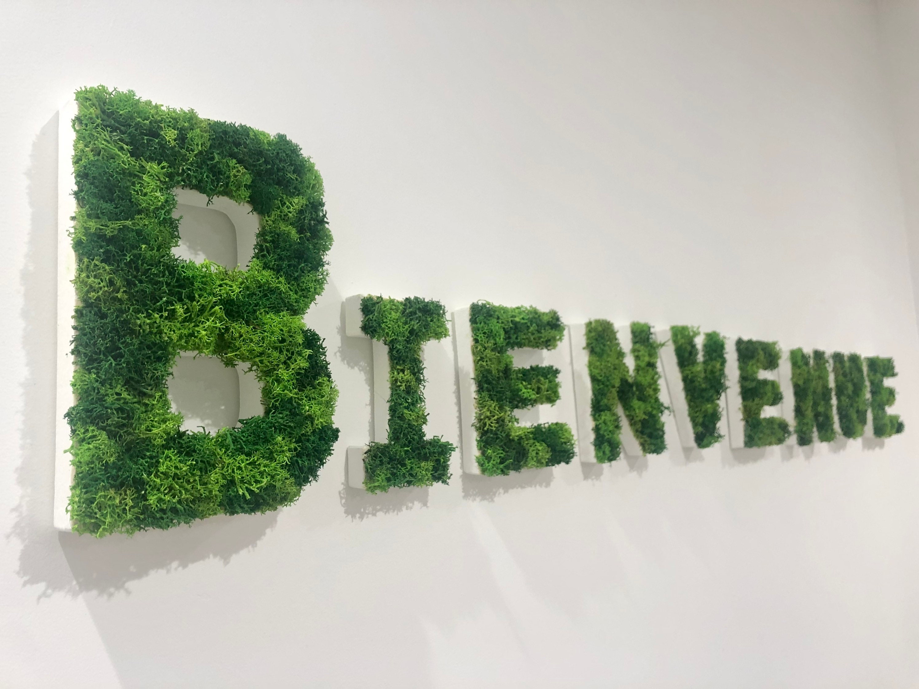 Lettre Végétale Stabilisée/Bienvenue Lettre Décorée