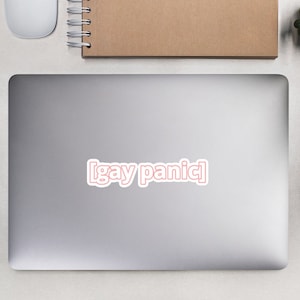 May include: A silver laptop computer with a pink sticker that says "[gay panic]" on it.
