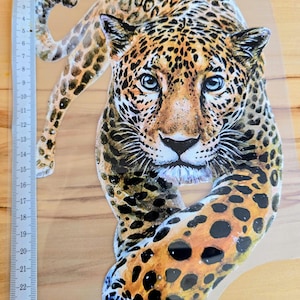 May include: A leopard decal featuring a detailed illustration of a leopard with golden fur and black spots, shown in a forward-facing stance. A metal ruler is placed vertically along the left side, indicating a height of approximately 25 cm.
