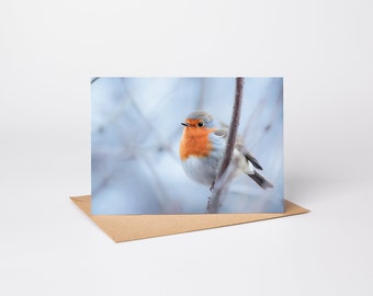 Klappkarte Rotkehlchen auf Zweig A6 / Grußkarte / Vogelkarte / Tierkarte / Geburtstagskarte / mit QR-Code / mit Umschlag aus Kraftpapier