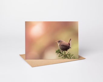Klappkarte Zaunkönig A6 / Grußkarte / Vogelkarte / Naturkarte / Geburtstagskarte / mit Umschlag aus Kraftpapier