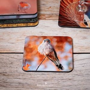 Turmfalken-Untersetzer Krafttier Falke Geschenkidee für Vogelfans Herbstliches Motiv Nikolausgeschenk für Senioren Küchendeko mit Vogelmotiv