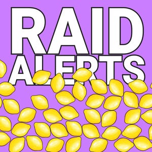 Op de afbeelding: Digitale illustratie met de tekst "RAID ALERTS" in witte blokletters op een paarse achtergrond. Gele citroenen zijn verspreid over de onderkant van de afbeelding.