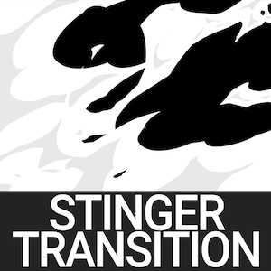 May include: Black and white abstract graphic design with the text "STINGER TRANSITION" in white letters on a black background.