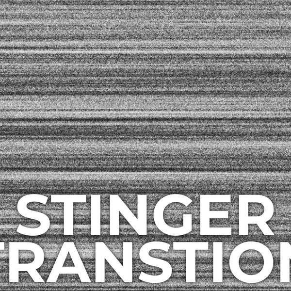 Television Static White Noise Stinger Transition, Animated Twitch Overlays, Twitch Transitions with Sound for Streamers
