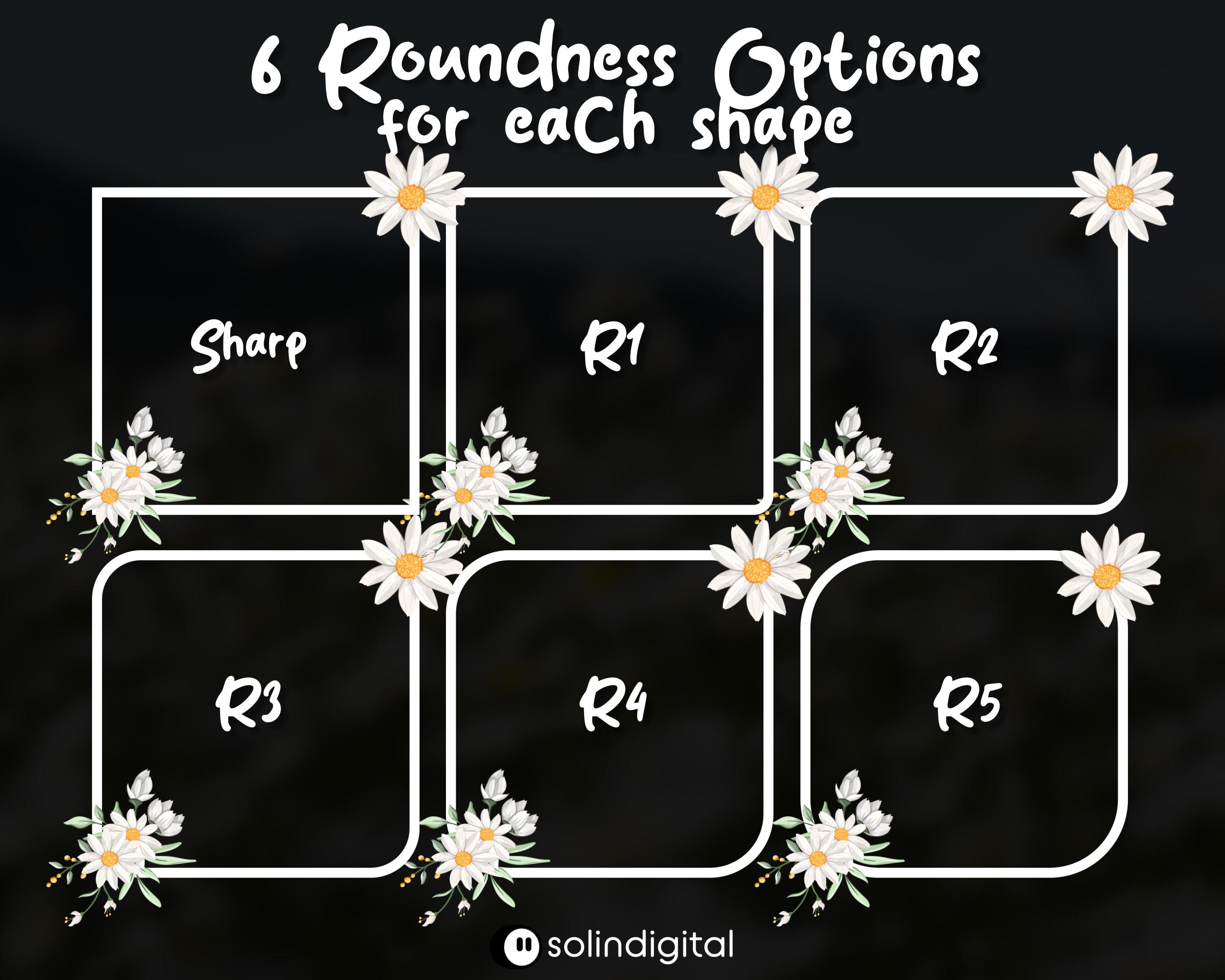 Daisy Camera Overlay | Animated & Static Floral Webcam Border | 6 ...