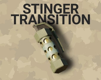 Flashbang Stinger Transition, Animated Twitch Overlays, Military FPS Twitch Transitions with Sound for Streamers, Stun Grenade, CS GO CoD