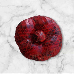 May include: A red leather flower brooch with a textured snake skin pattern.