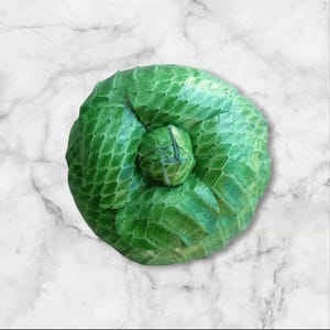 Könnte beinhalten: Eine grüne Lederblumenbrosche mit strukturierter Oberfläche.