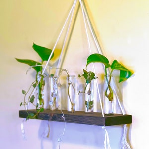 Single tier propagation station,plant hanger, plant station,vial,hanging plant holder,plant cutting holder,test tube propagation, Hydroponic