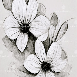 Floral 1 - Supernote Sleep Screen Saver