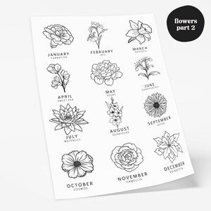 May include: A white print featuring line drawings of flowers, each labeled with a month and flower name. Includes carnation, iris, daffodil, sweet pea, peony, honeysuckle, waterlily, gladiolus, aster, cosmos, camellia, and poinsettia. The text "flowers part 2" is in a black circle.