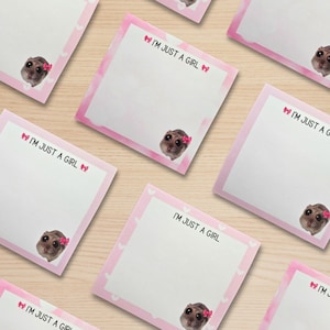 May include: Pink sticky notes with a cartoon hamster wearing a pink bow and the text "I'm just a girl" on each note.