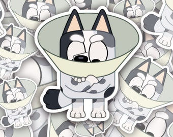 May include: A cartoon dog wearing a white and gray cone of shame. The dog has black and white spots and is looking sad. The cone is a light green color.