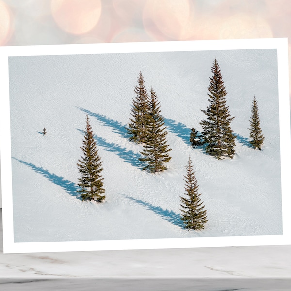 Pine Tree Shadows On Snow Cover Hill Photo Greeting Card - Blank Inside - Colorado, Handcrafted All Occasion Note Cards