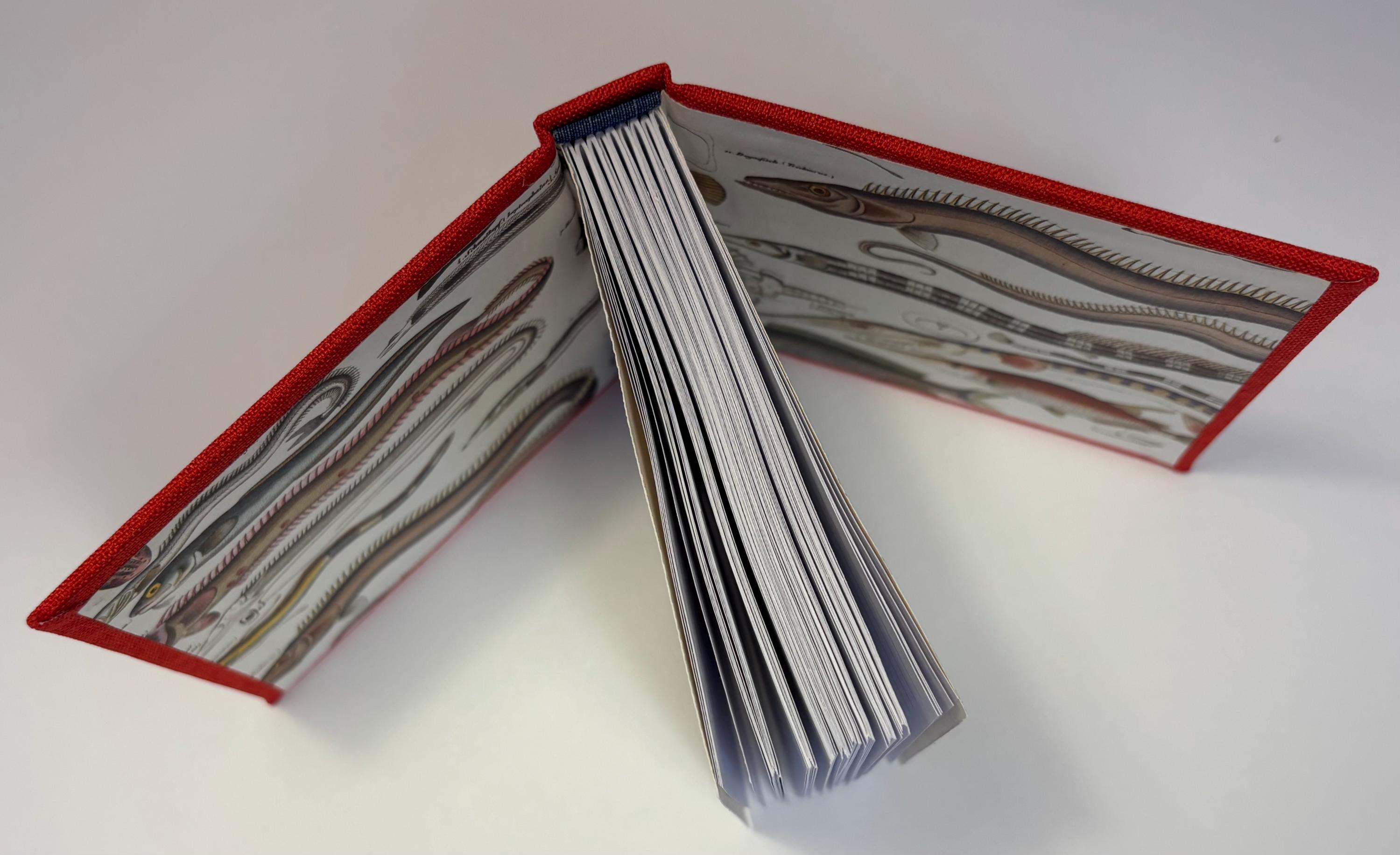 Handmade Red Cloth Hardbound Journal | Artisan Bookbinding, Purse Size ...