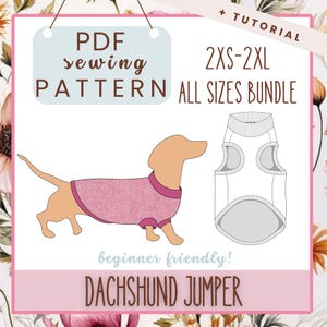 PDF Sewing Pattern for Dachshund Sweater / DIY Dog Sweater for Dachshund, Teckel, or Corgi / Instant Download PDF Dog Clothing Pattern