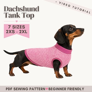 PDF Sewing Pattern for Dachshund Sweater / DIY Dog Sweater for Dachshund, Teckel, or Corgi / Instant Download PDF Dog Clothing Pattern