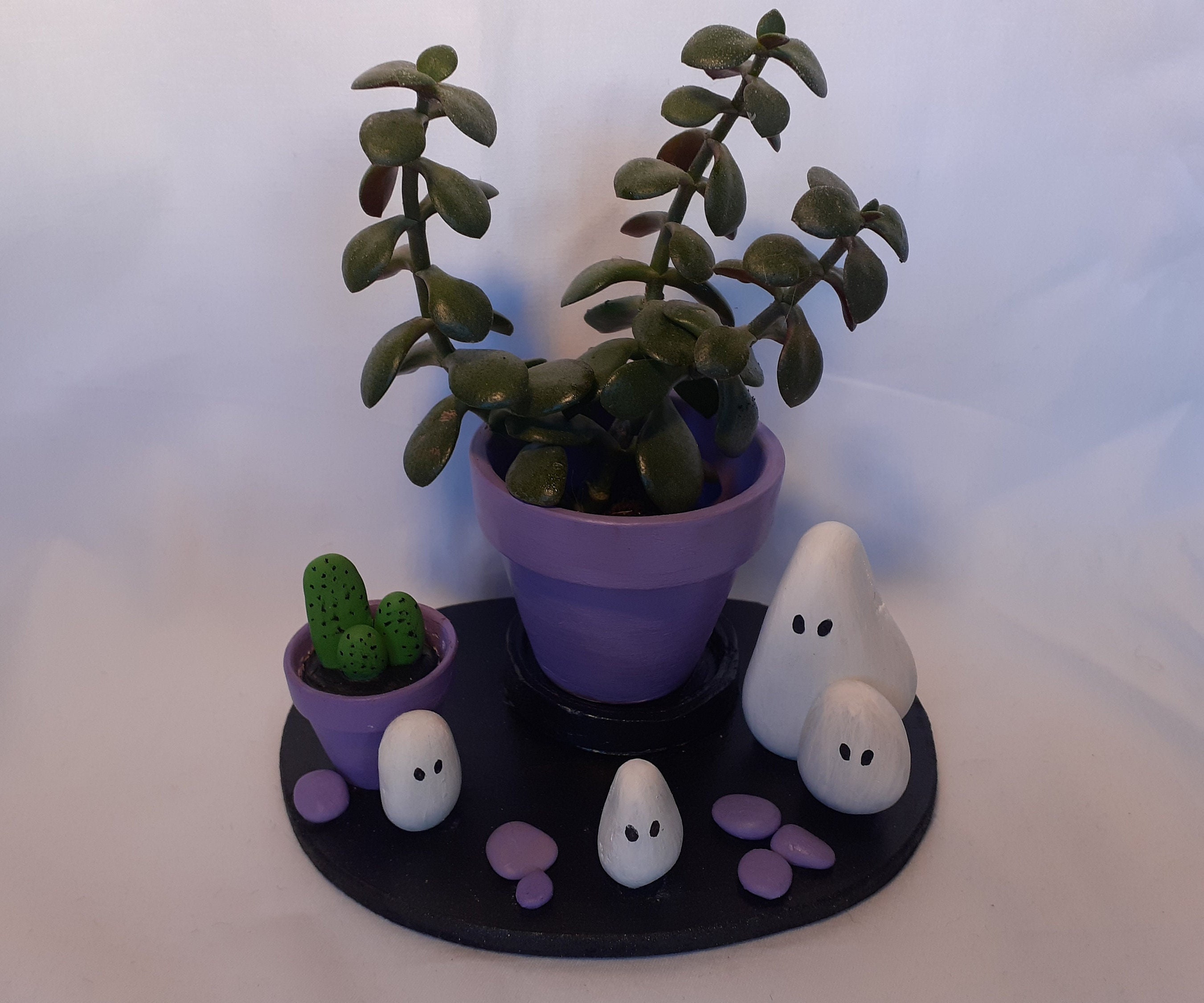 Ghost plant pot -  France