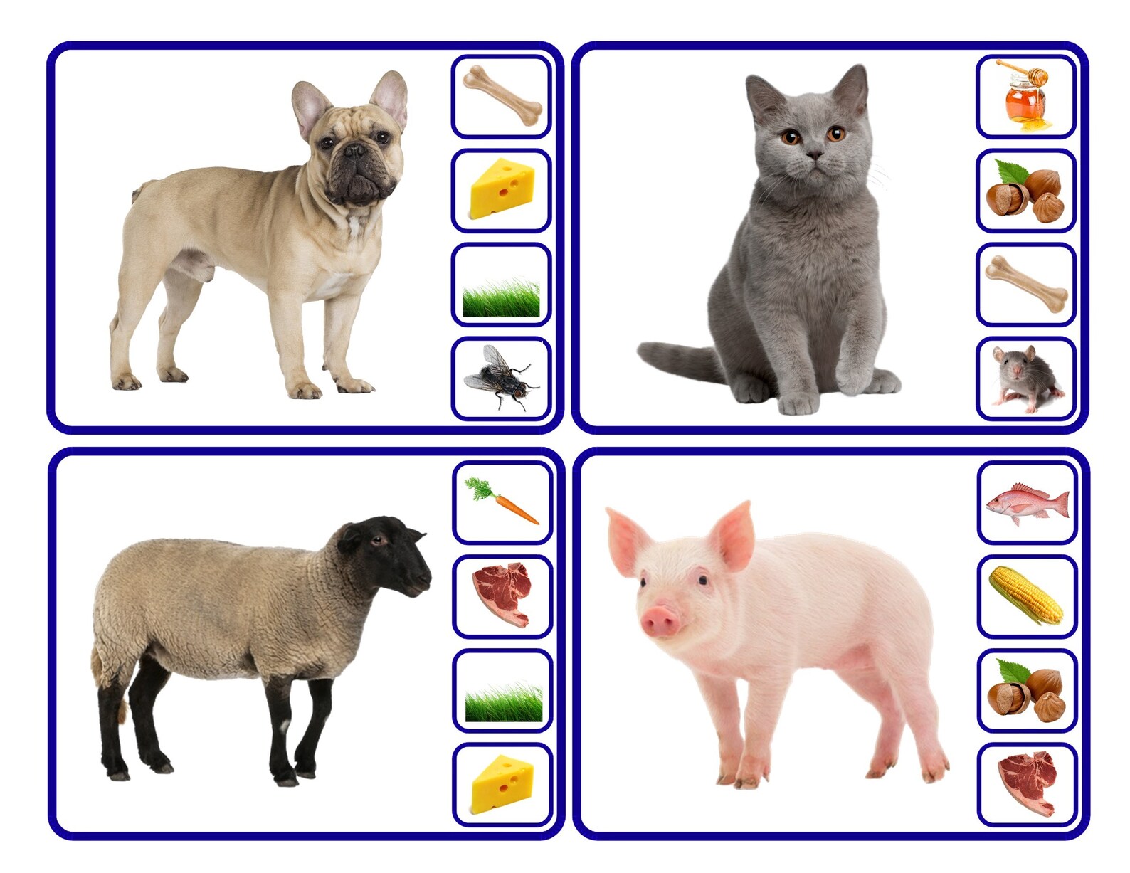 animals-and-their-food-preschool-worksheet-worksheets-for-etsy