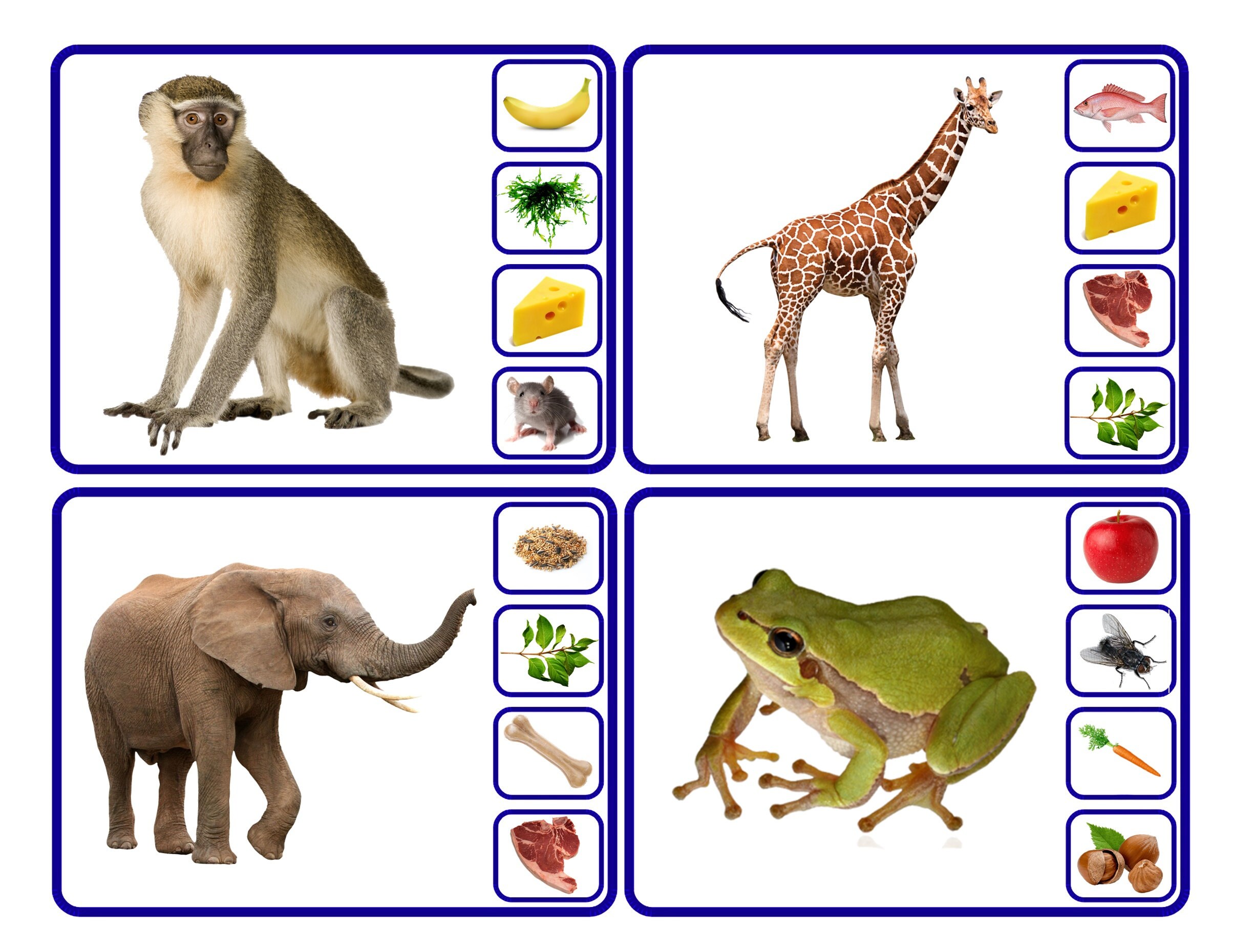 animals-and-their-food-preschool-worksheet-worksheets-for-etsy