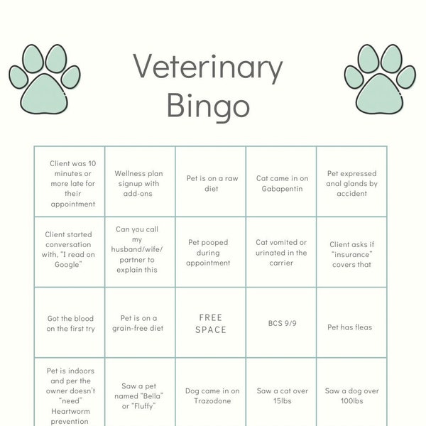 Decor Veterinary Etsy