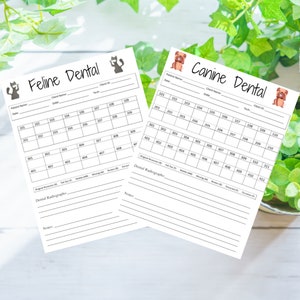 Cartas dentales caninas y felinas
