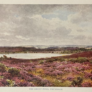 Surrey Frensham The Great Pond Vintage Print Akwarela Malarstwo Ścienne Dekoracja Domu Antyczne Dzieło Sztuki Angielski Krajobraz Obraz