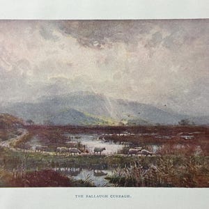 Könnte beinhalten: Ein Vintage-Druck mit dem Titel "The Ballaugh Curragh" zeigt eine sumpfige Landschaft mit Schafen, die in der Nähe von Wasser grasen. Das Kunstwerk zeigt einen bewölkten Himmel und eine entfernte Bergkette, mit gedämpften Farben.
